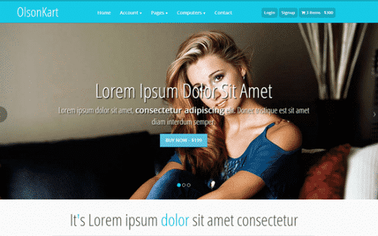 Bootstrap_Themes_029