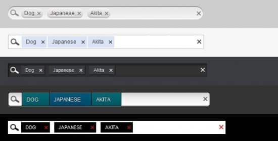 css3-jquery-search-boxes-022