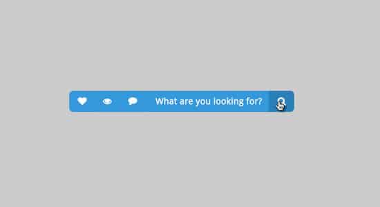 CSS3 & PSD Search Boxes