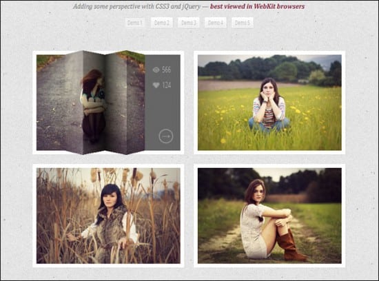 Free jQuery CSS3 Image Hover Effects