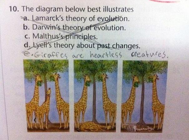 Funny Test Answers from Smartass Kids