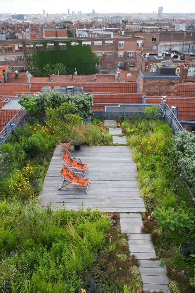roof-garden-ideas-018