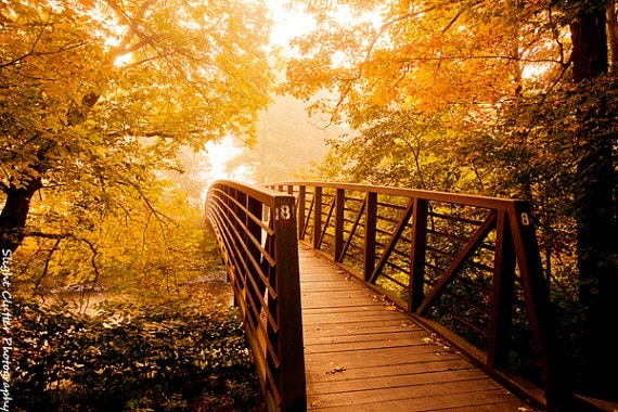 34 Autumn Photos To Inspire You To Grab Your Camera