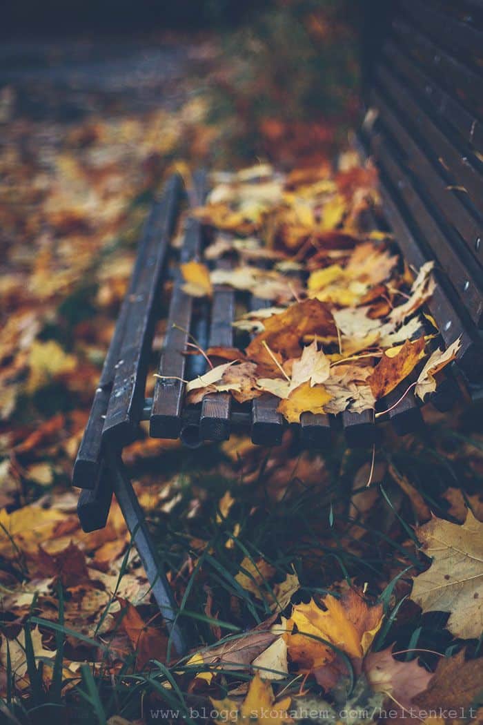 autumn-photos-008