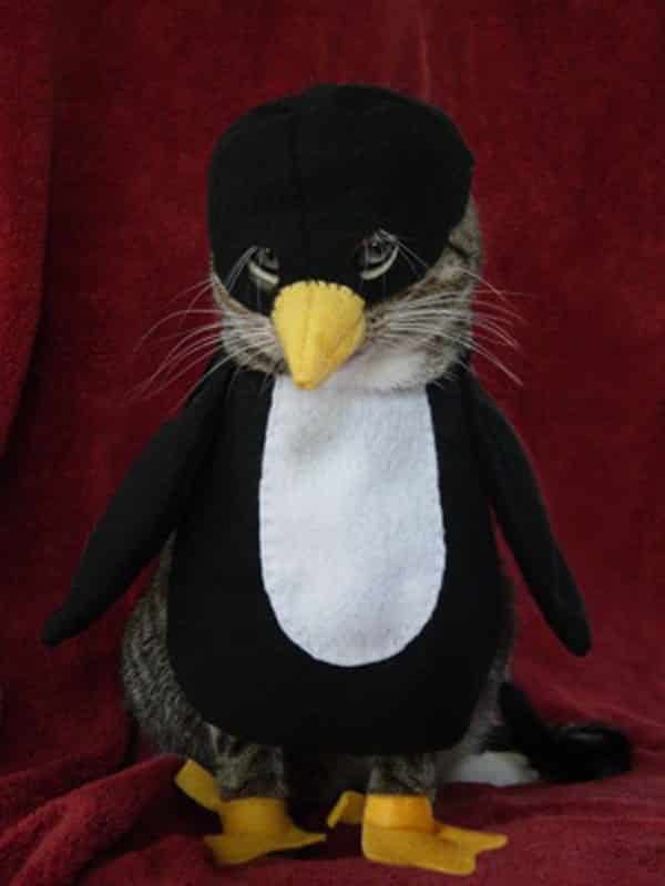 I know this one looks like it's just a dumb penguin, but it's actually a CAT, dressed as a penguin. 