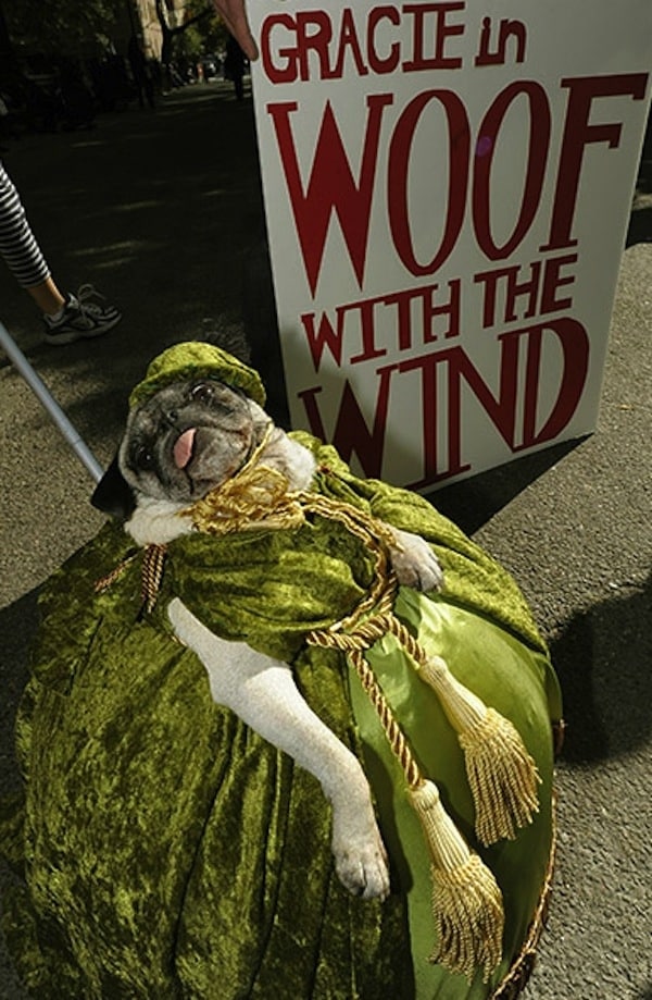 Woof With The Wind