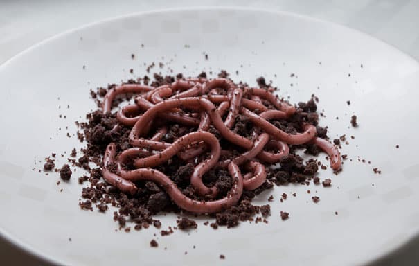 Raspberry Jello Worms On A Bed Of Chocolate Doughnut Crumbs