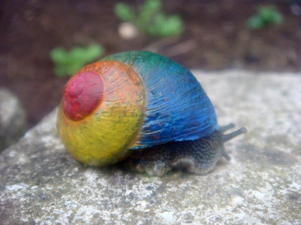 17 Snails with Pimped Out Artwork On Their Shells To Prevent Snails From Getting Stepped On