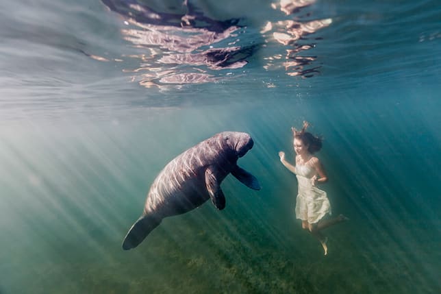 14 Mother's Photos of A Mermaid's Adventures