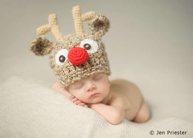 This reindeer: