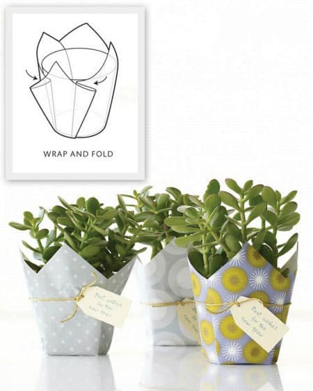 Wrap a plant in a square of pretty paper or fabric: