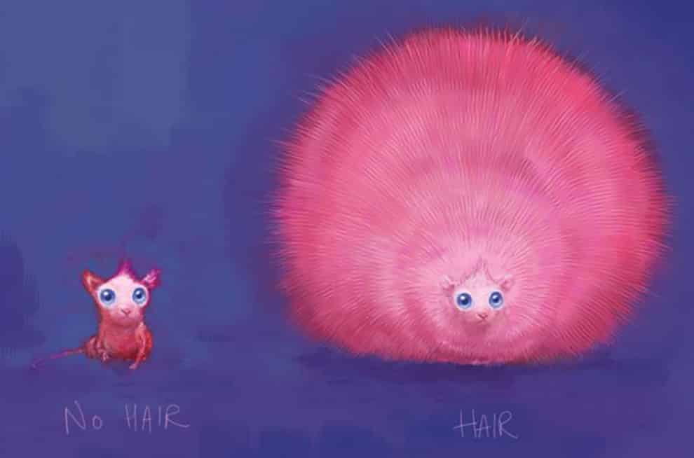 Arnold the Pygmy Puff