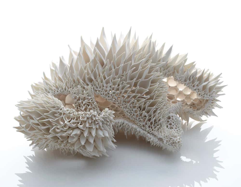 Hand Built Porcelain Sculptures by Nuala ODonovan Mimic Fractal Patterns Found in Nature sculpture porcelain fractals ceramics 
