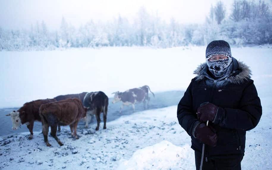 coldest-village-oymyakon-russia-amos-chapple-13