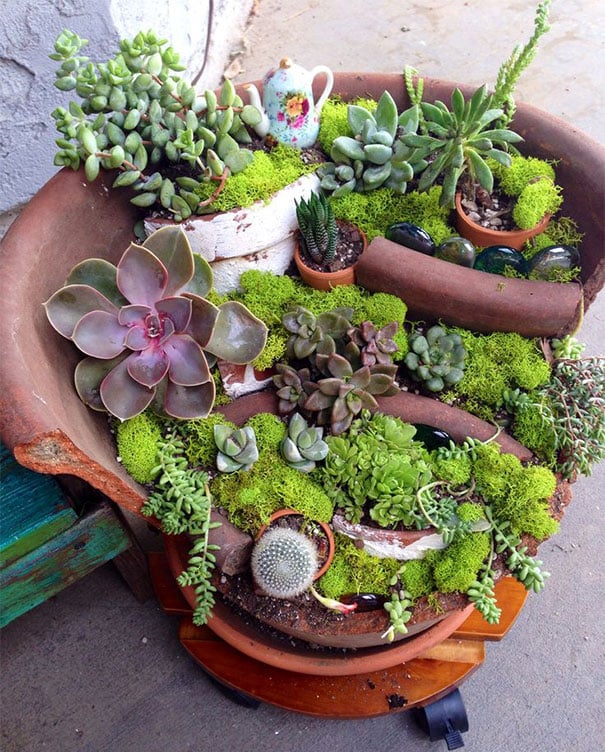 diy-broken-pot-fairy-garden-14