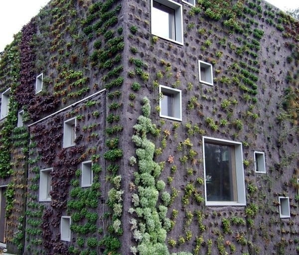 Living Walls in the Netherlands