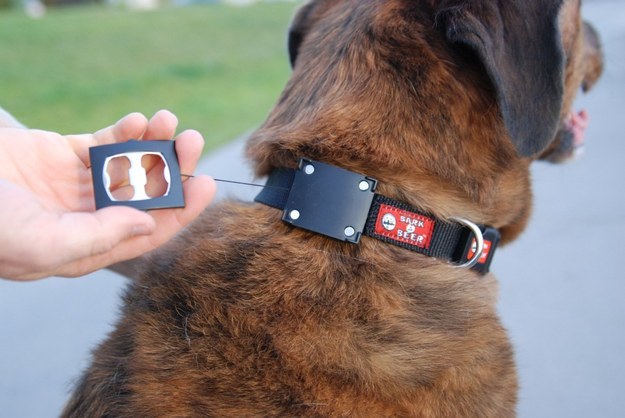 Your dog is your best friend and he wants you to enjoy a nice bottle of beer: let him help you out with this dog collar (it comes with a bottle opener).