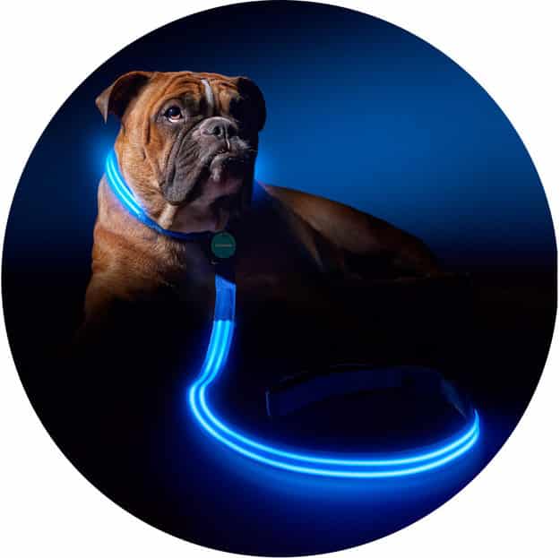 PoochLight leashes and collars are ideal for people that live in areas without sidewalks.