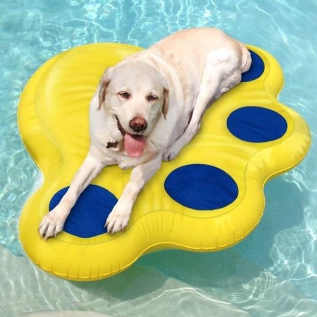 Dogs don't want to be left out when it comes to pool time: this raft is puncture proof so their claws won't cause it to capsize.