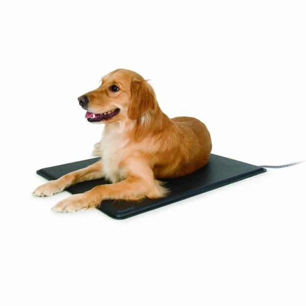 You bought yourself an electric blanket, now you need to go get your dog this heating pad.