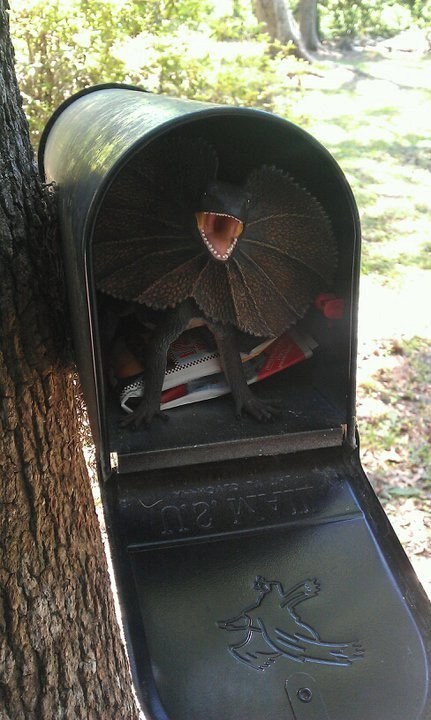 Put a surprise in the mailbox.