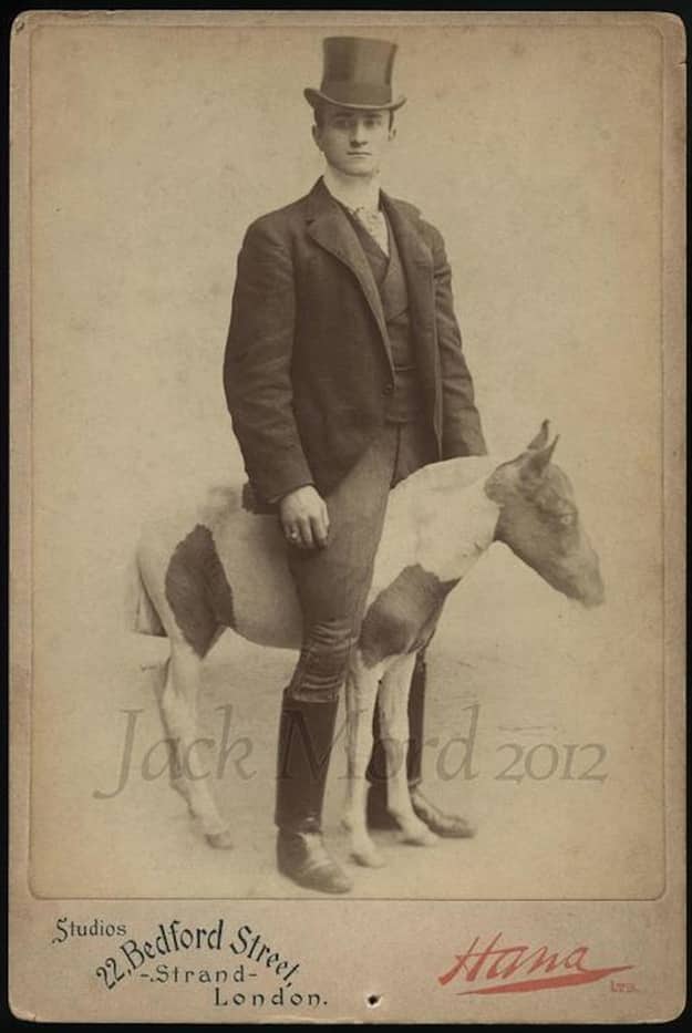 You never get to see a dapper gentleman ride a tiny horse anymore.