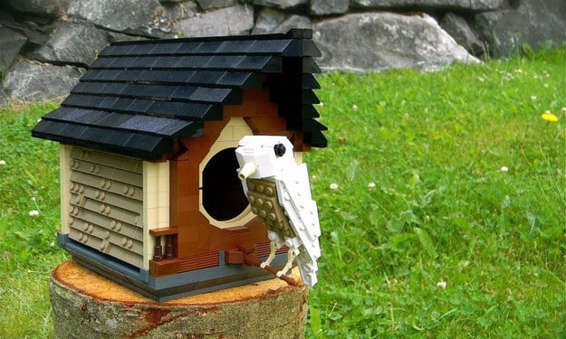 And let your creativity loose by designing your own birdhouse.