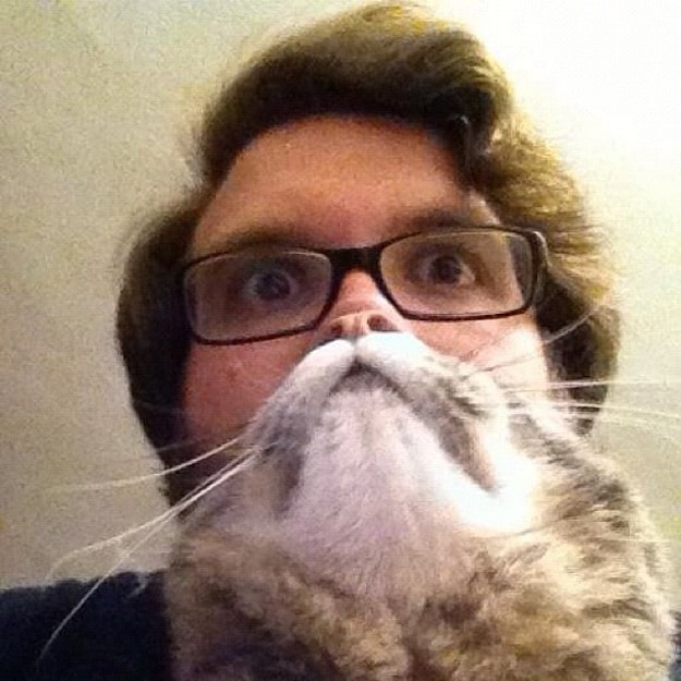 The Cat Beard
