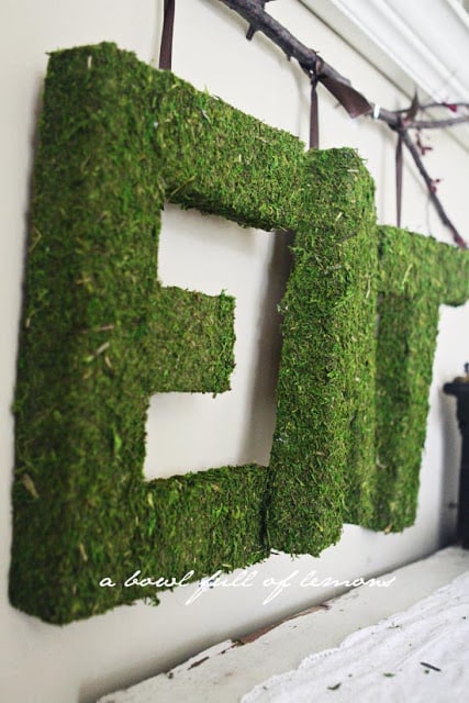 Create your own Pottery Barn-inspired moss-covered letters, just in time for spring.