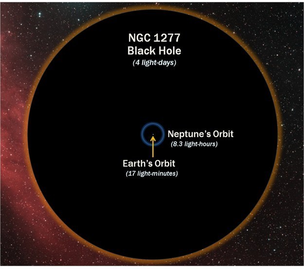 And, you know, it&#39;s pretty safe to assume that there are some black holes out there. Here&#39;s the size of a black hole compared with Earth&#39;s orbit, just to terrify you: