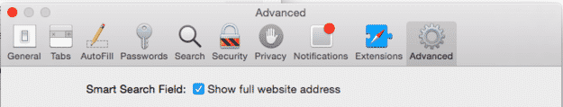 In Safari Preferences &gt; Advanced, you can also enable "Show full website address."