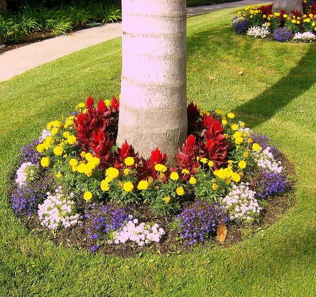 Create a flower bed around your trees for another well-contained pop of color.