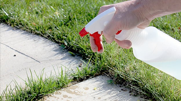 Get rid of weeds with this DIY spray.
