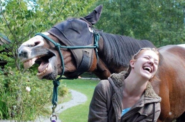 The &#39;This Is What You Look Like,&#39; Horse Edition