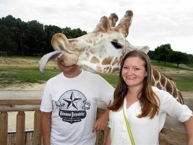 The Unexpected Giraffe