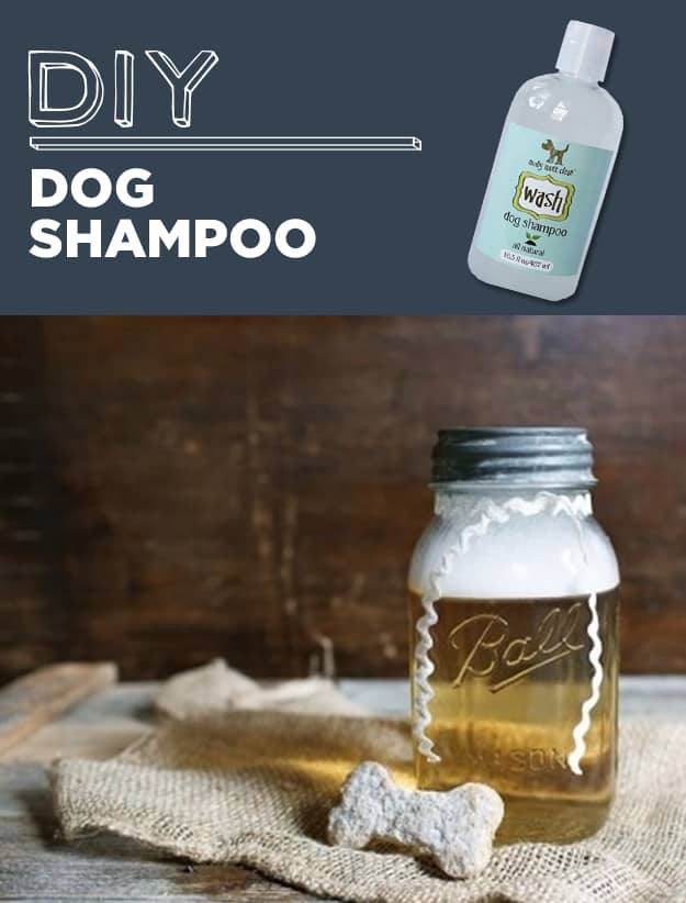 DIY Dog Shampoo