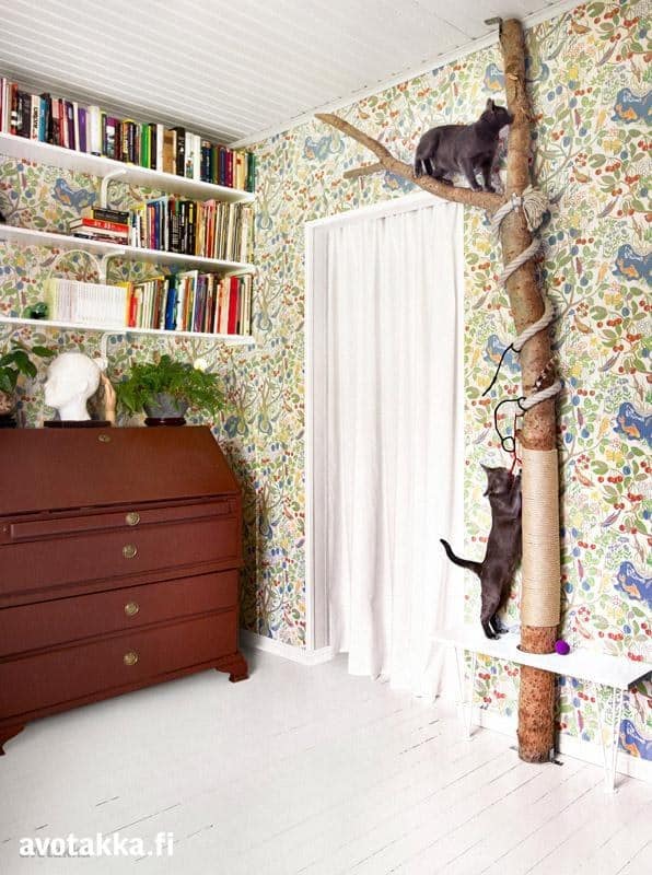 Use a real tree as a stylish cat scratching and climbing post.