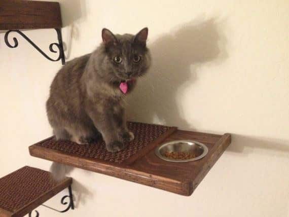 Make food dish shelves to keep your cat's food out of reach of the dog.