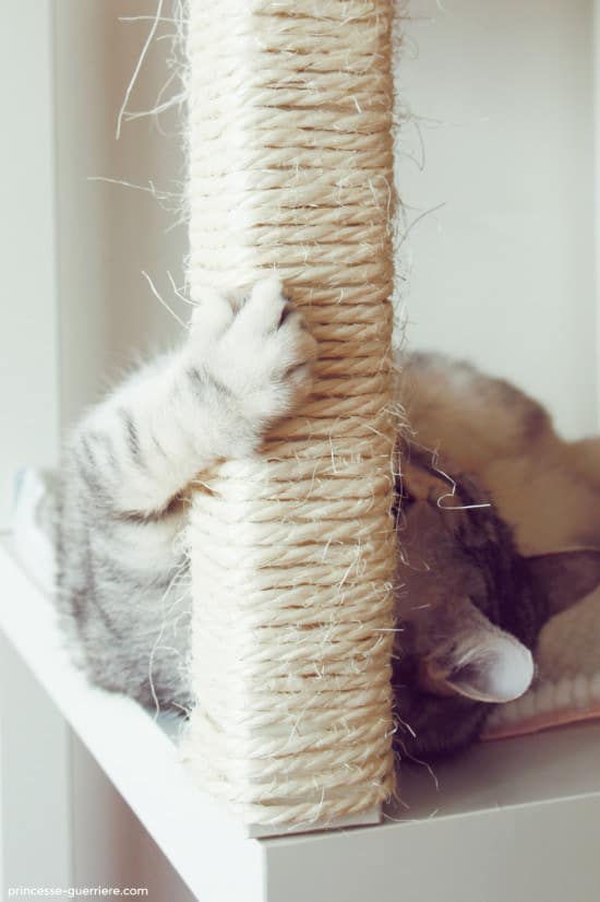 Wrap thin rope around the legs of end tables to create scratching posts.