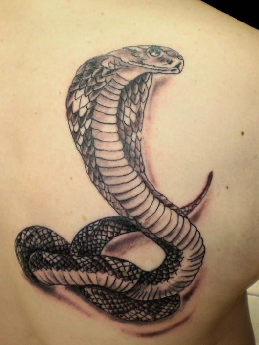 15 Stunning Snake Tattoos DesignBump