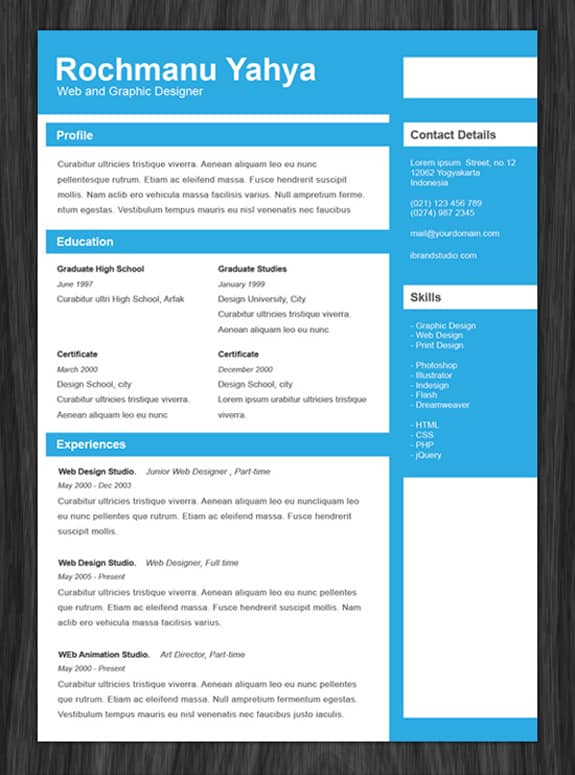 Free Professional Online One Page Resume Templates