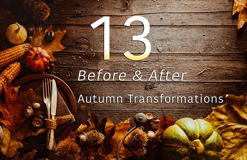 Before and After Autumn Transformations