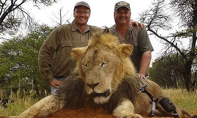 The death of Cecil the Lion