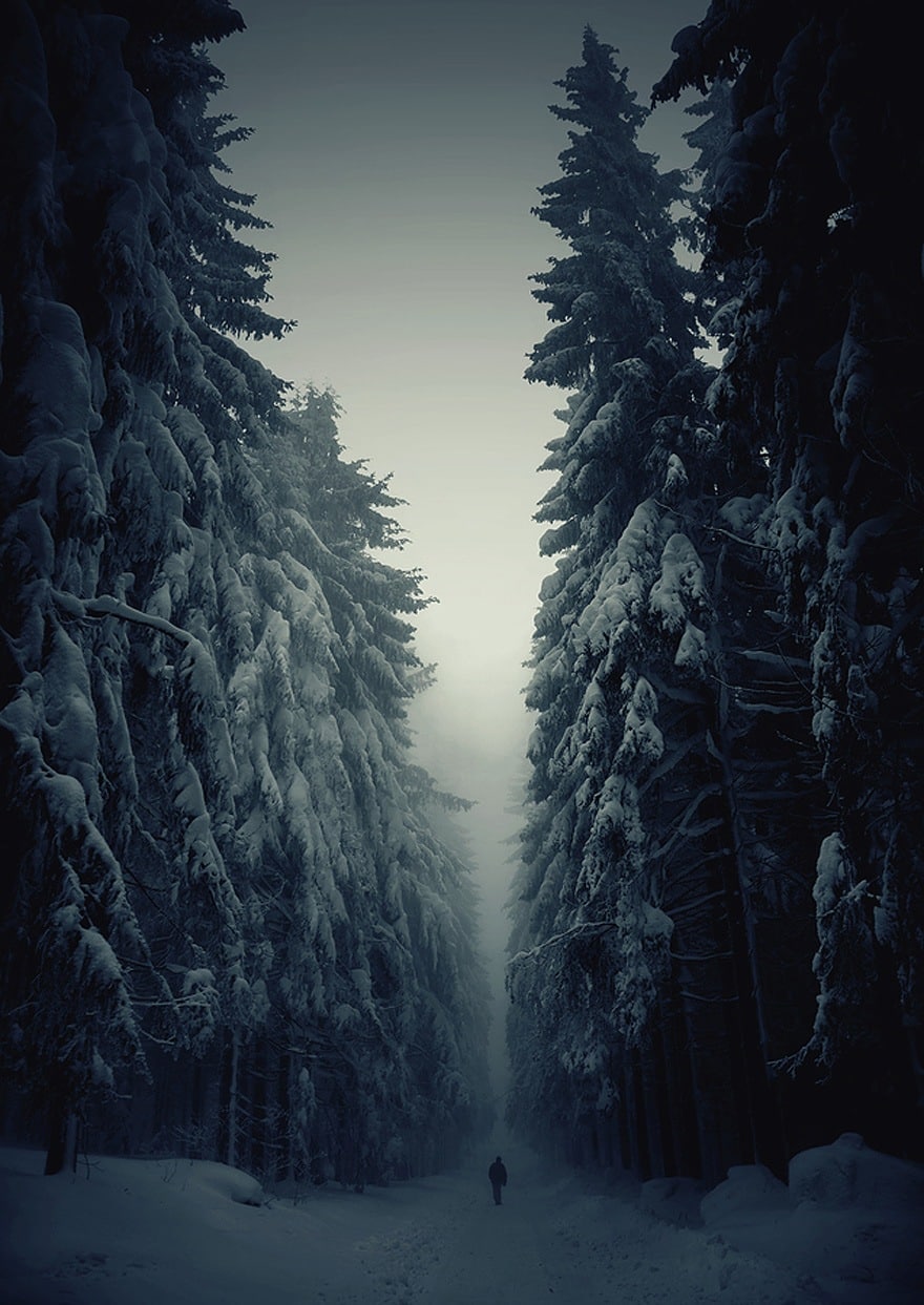 A ghostly winter forest picture