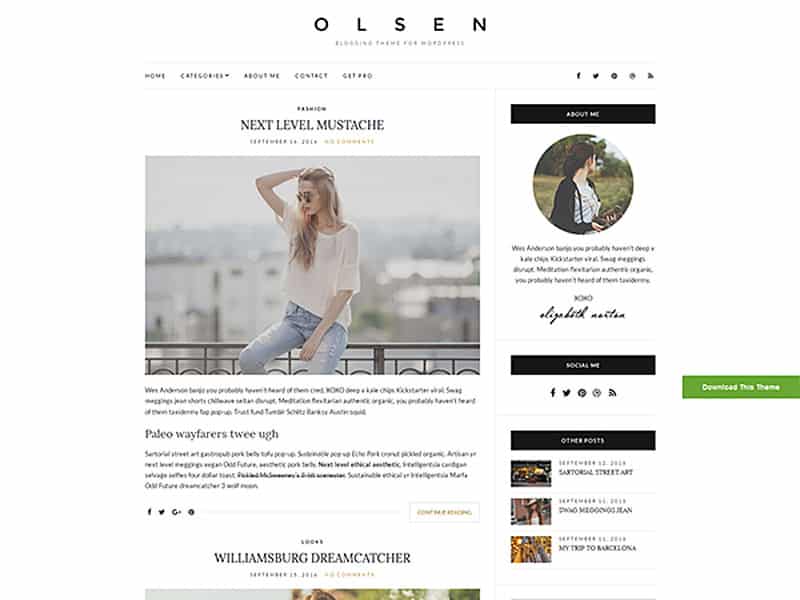 Olsen Light Free WordPress Theme 2017