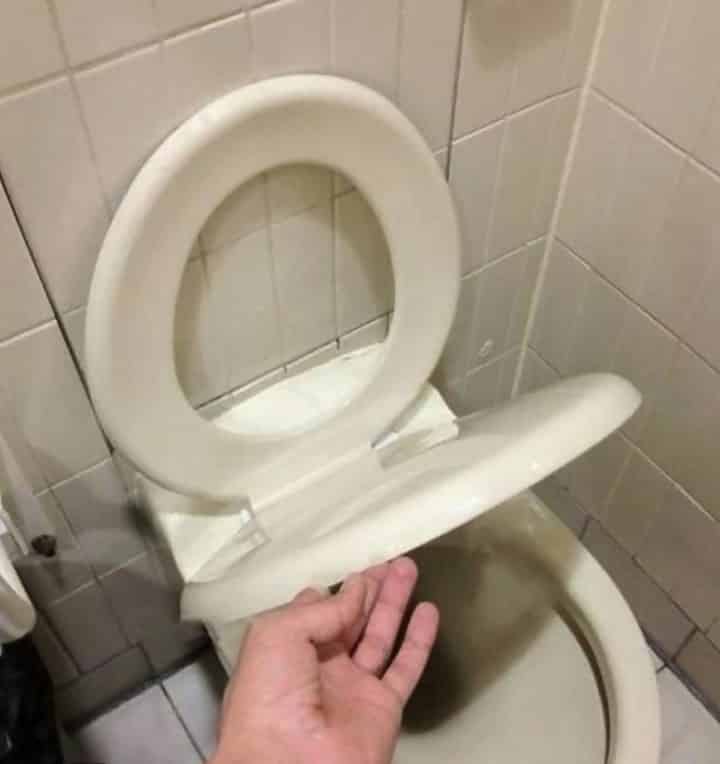 Reverse Toilet Seat