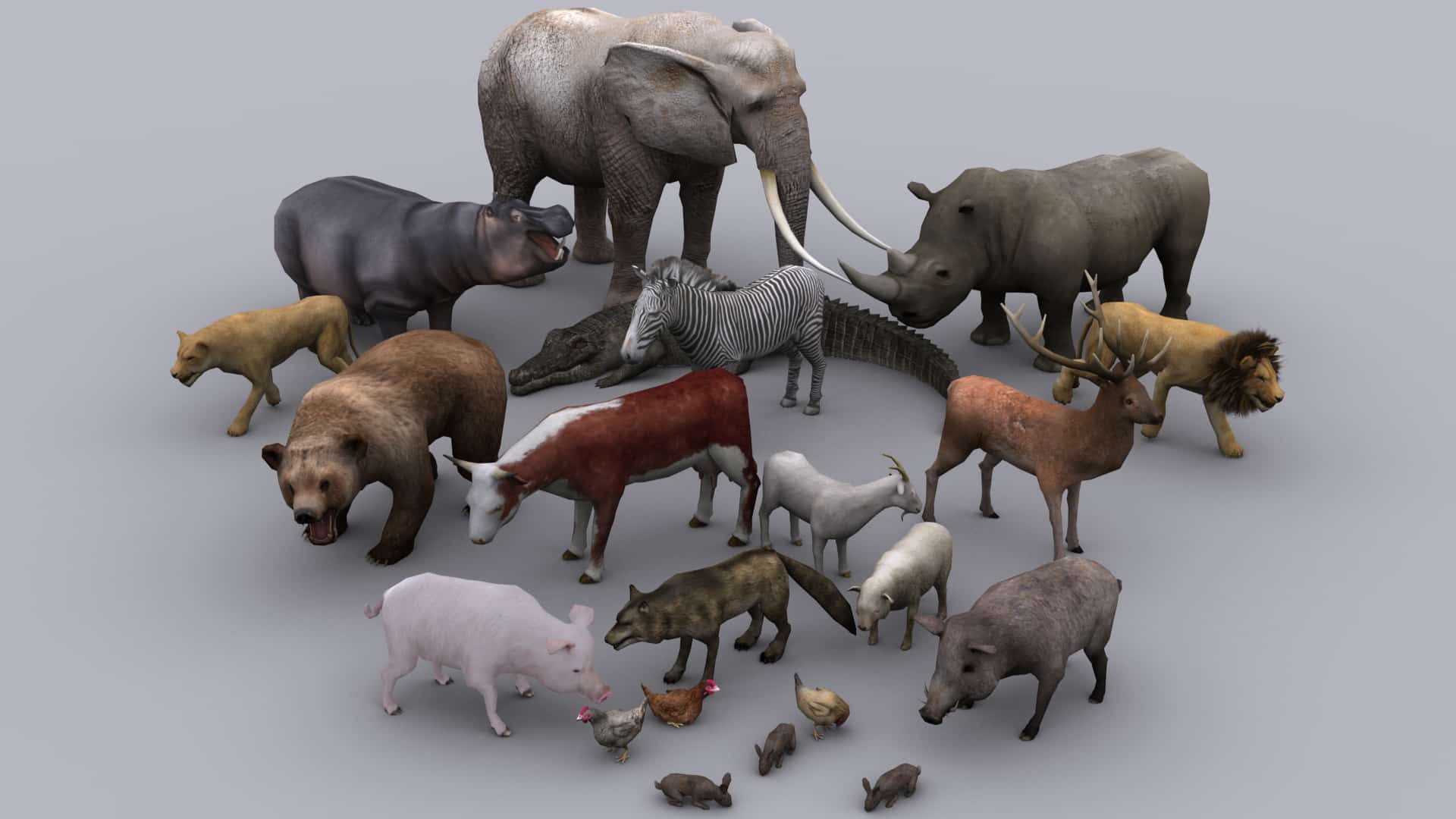 3 д звери. 3д модели животные. 3d моделирование животных. 3д моделирование животные. Компьютерные модели животных.