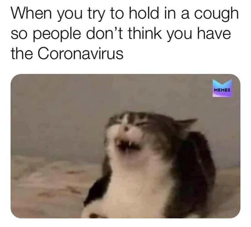 30 Of The Funniest Coronavirus Memes To Get You Through ...