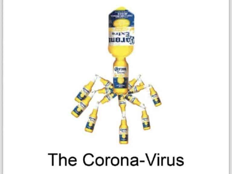 coronavirus corona meme