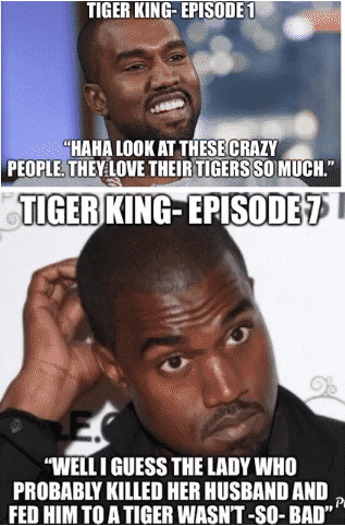 Best Memes from Tiger King: Joe Exotic Memes, Big Cat Memes -DesignBump